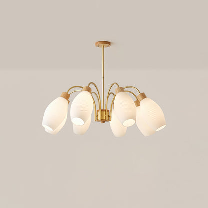 Petaluma Chandelier