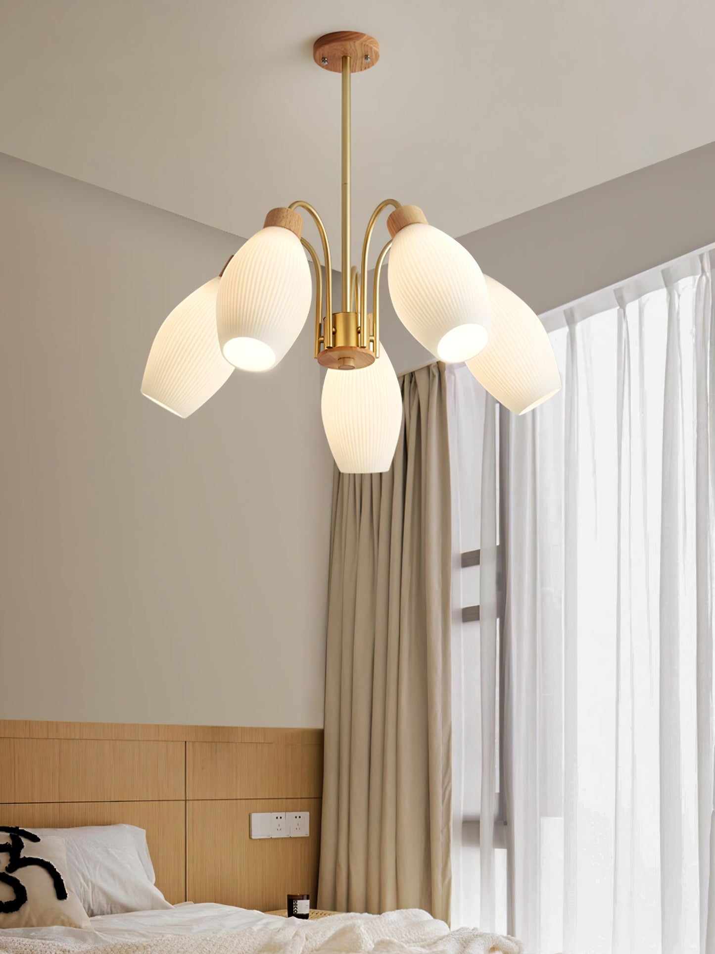 Petaluma Chandelier