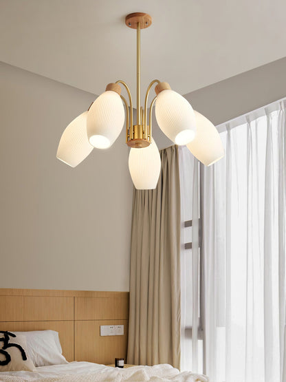 Petaluma Chandelier