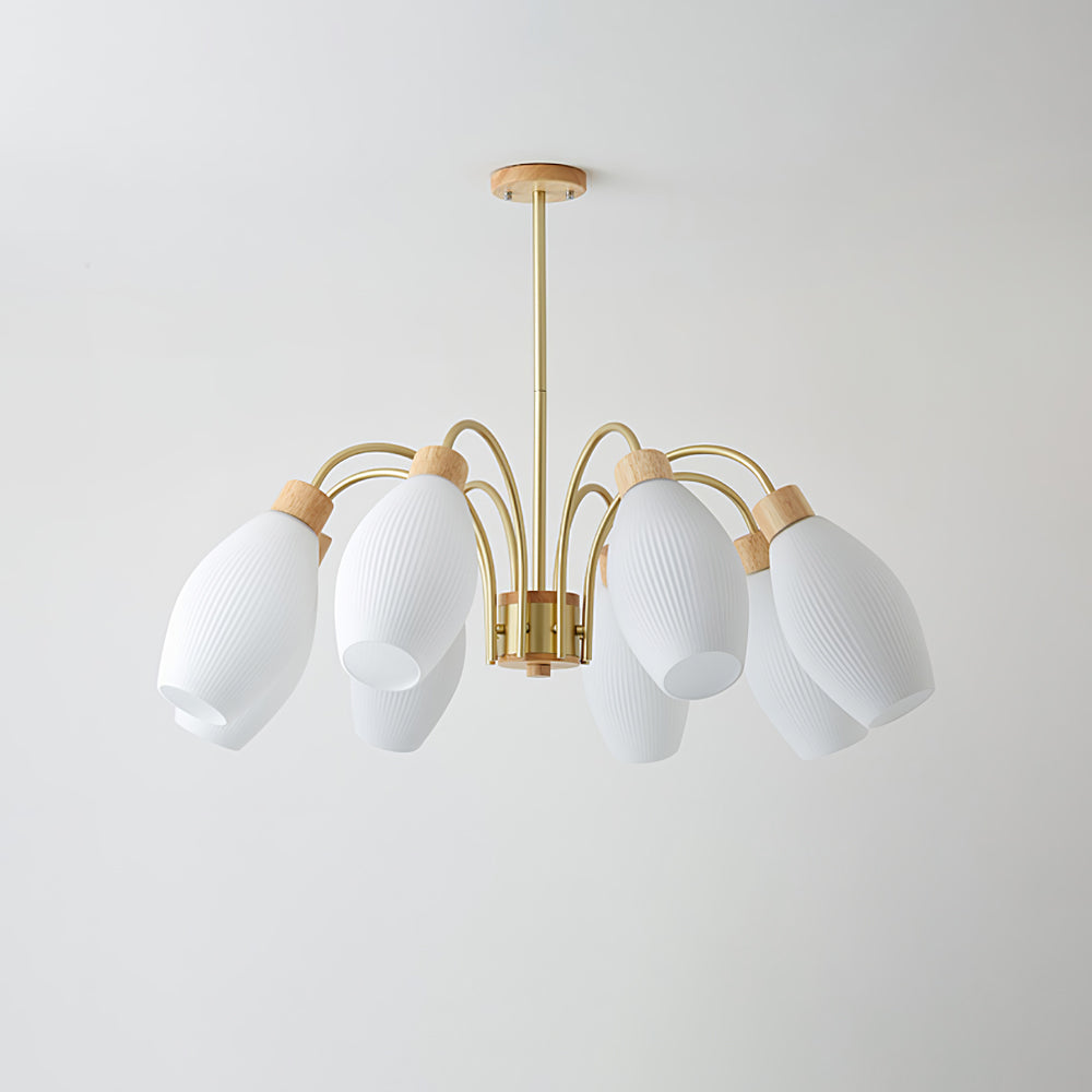 Petaluma Chandelier