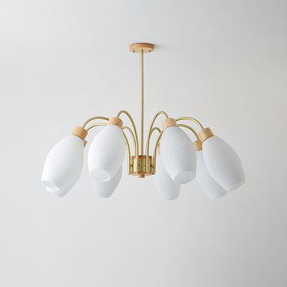 Petaluma Chandelier