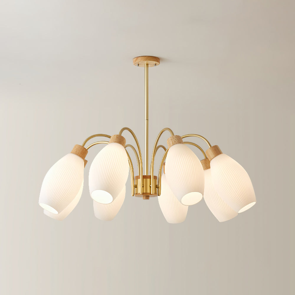 Petaluma Chandelier