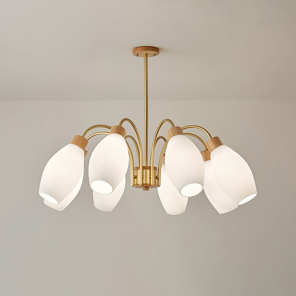 Petaluma Chandelier
