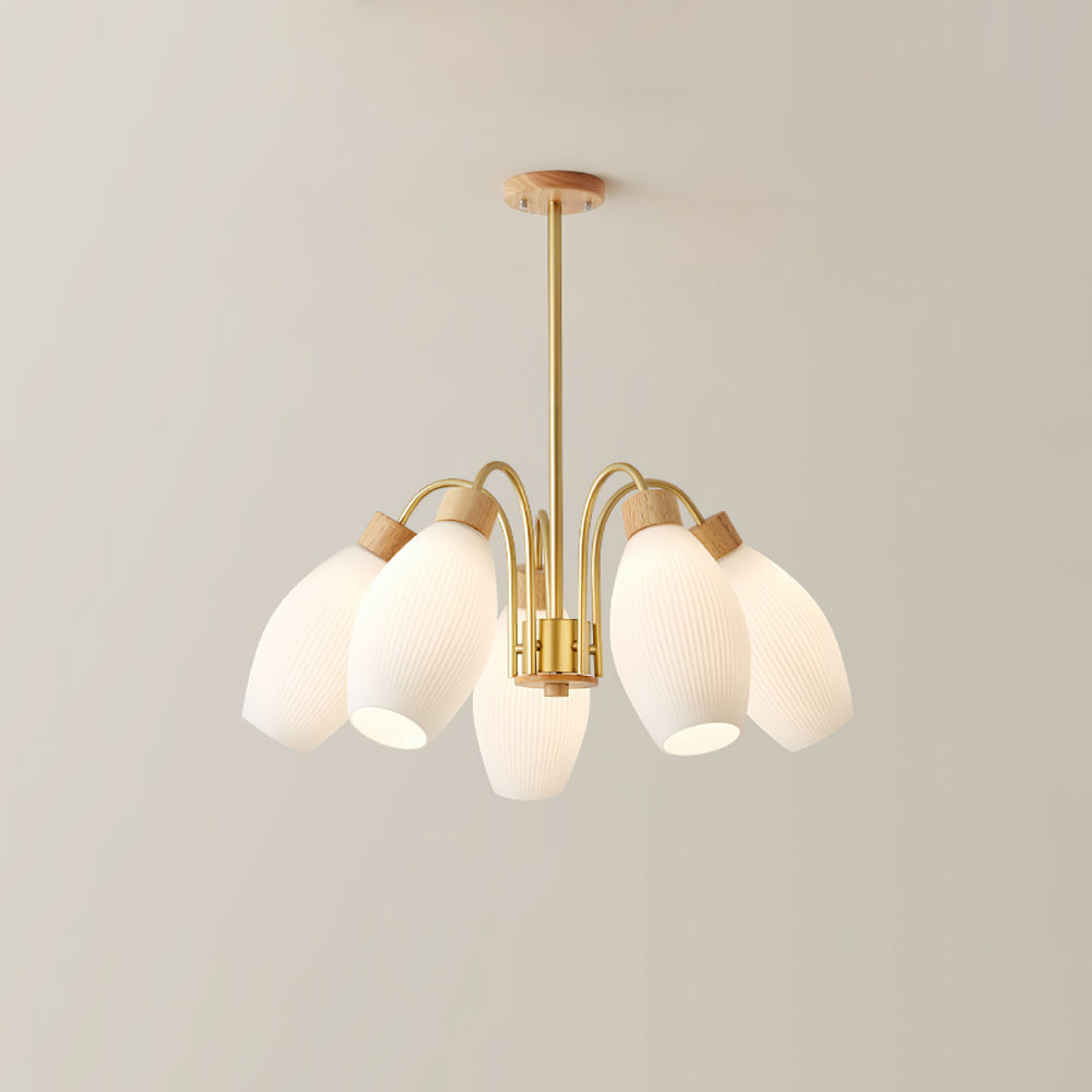 Petaluma Chandelier