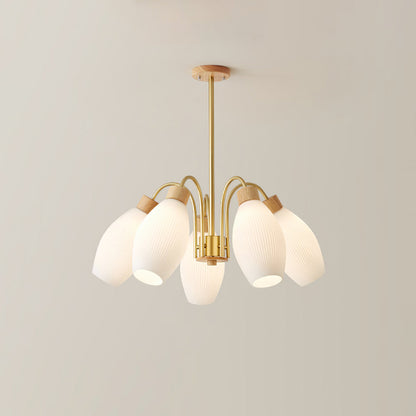 Petaluma Chandelier