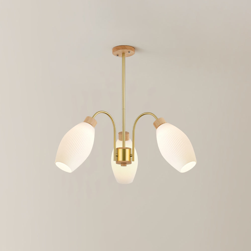 Petaluma Chandelier