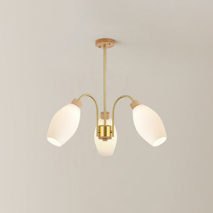 Petaluma Chandelier