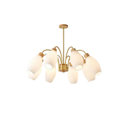 Petaluma Chandelier