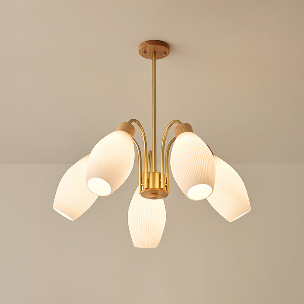 Petaluma Chandelier