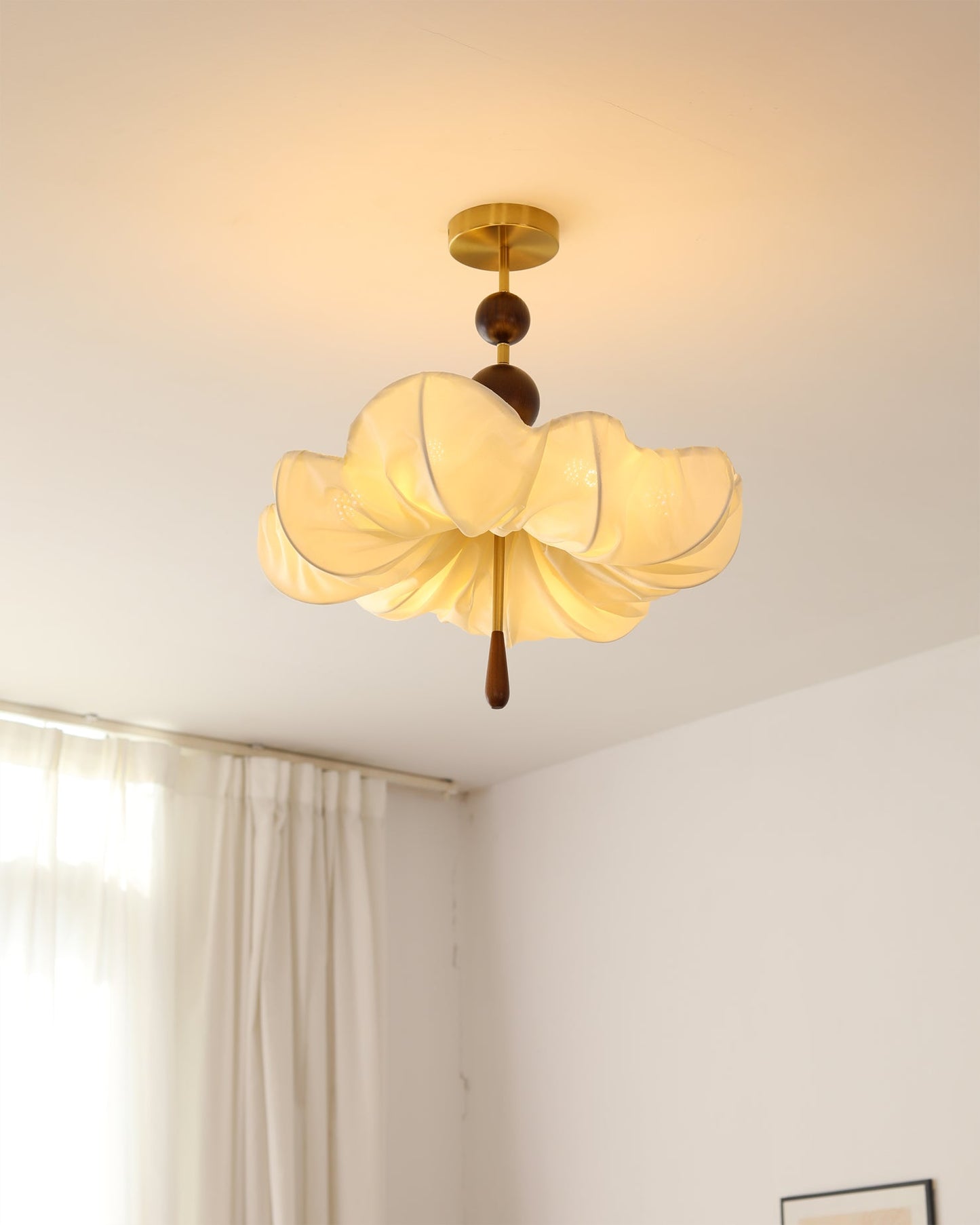 Pinctada Ceiling Light