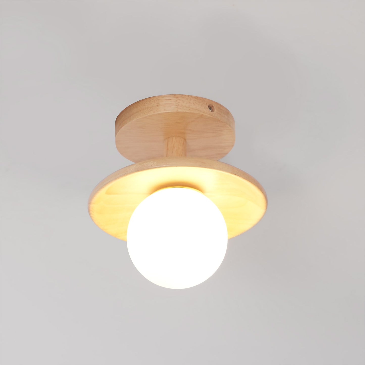 Plafon Ceiling Lamp
