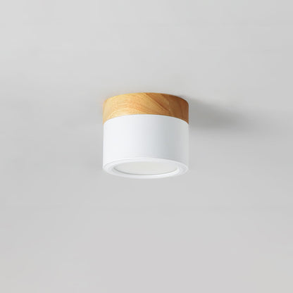 Plafonnier Spot Ceiling Lamp