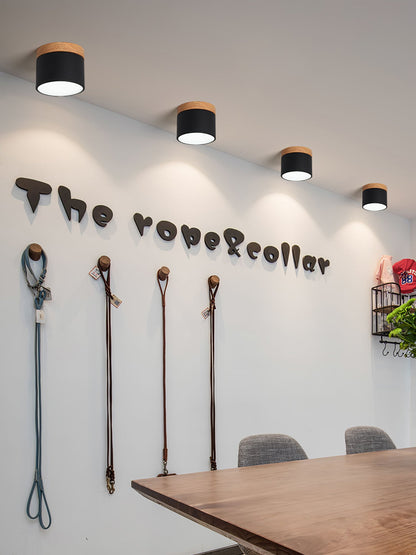 Plafonnier Spot Ceiling Lamp