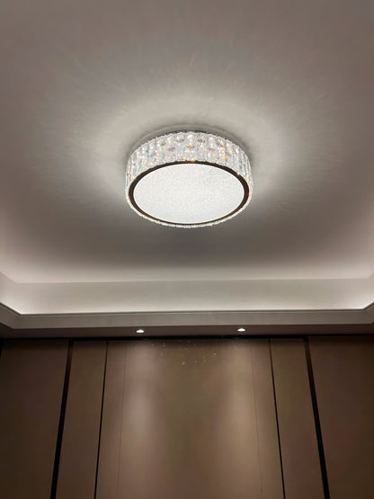 Quicksand Crystal Ceiling Lamp