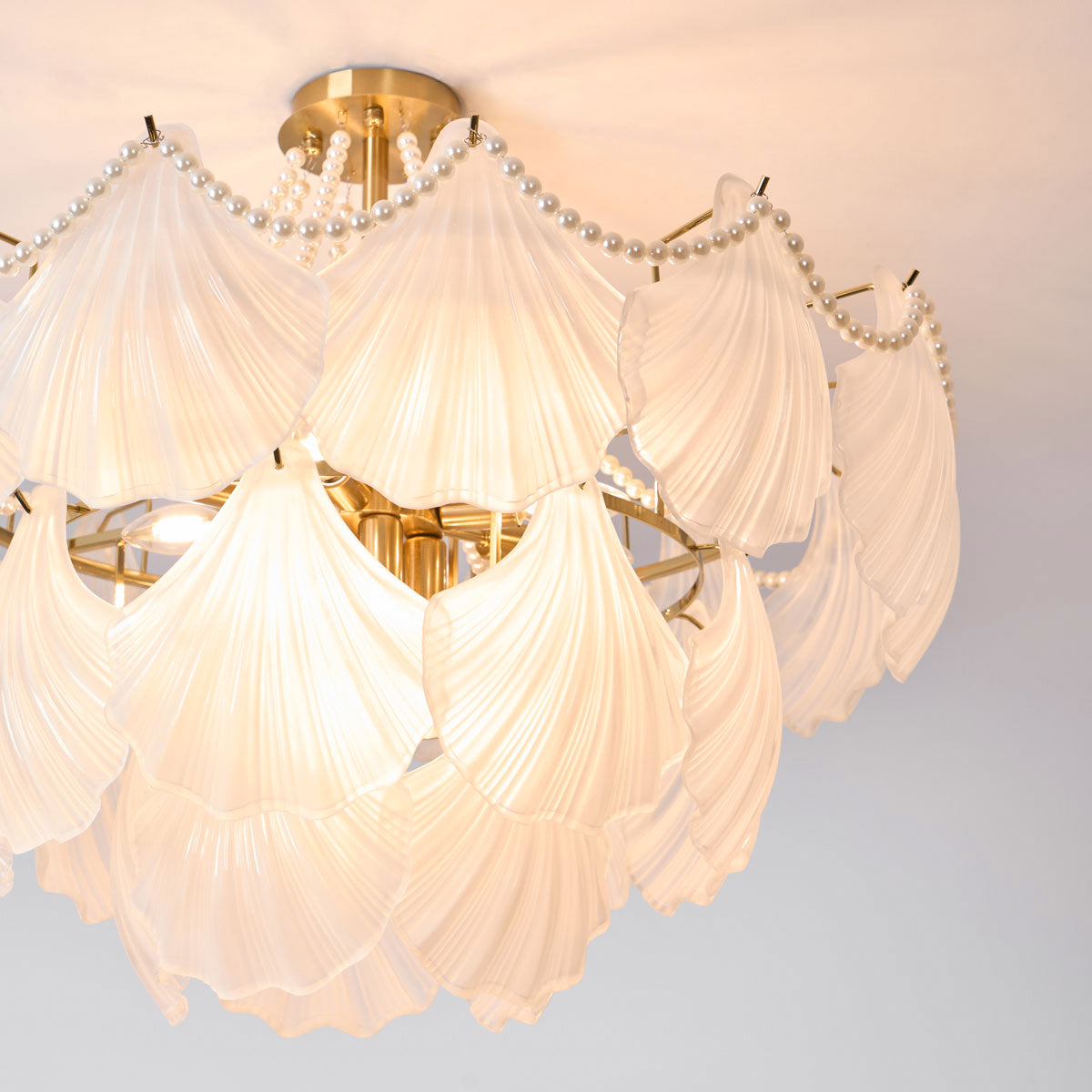 Scallop Shell Chandelier