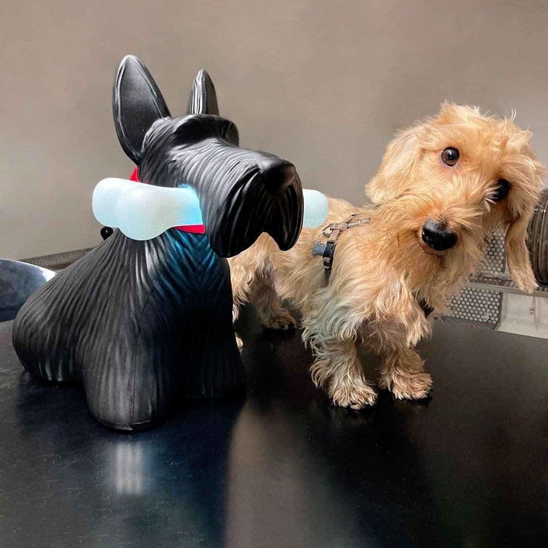 Scottie Table Lamp