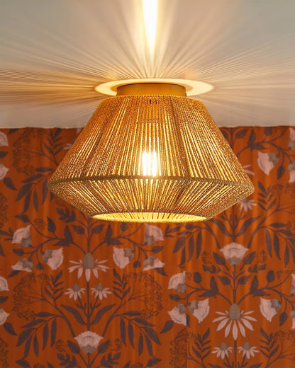 Sierra Ceiling Light
