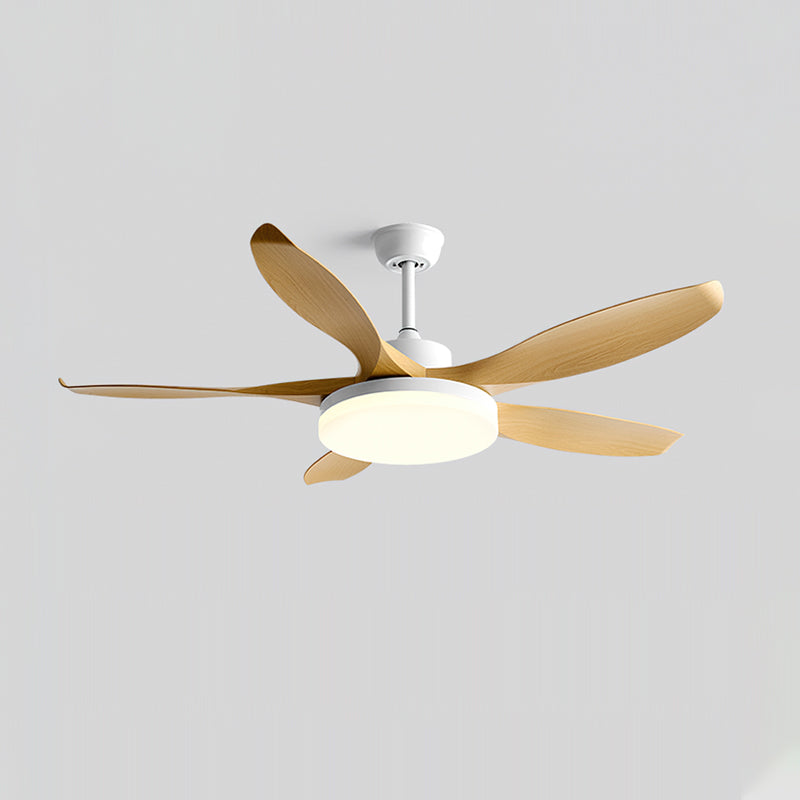 Splenda Ceiling Fan Light