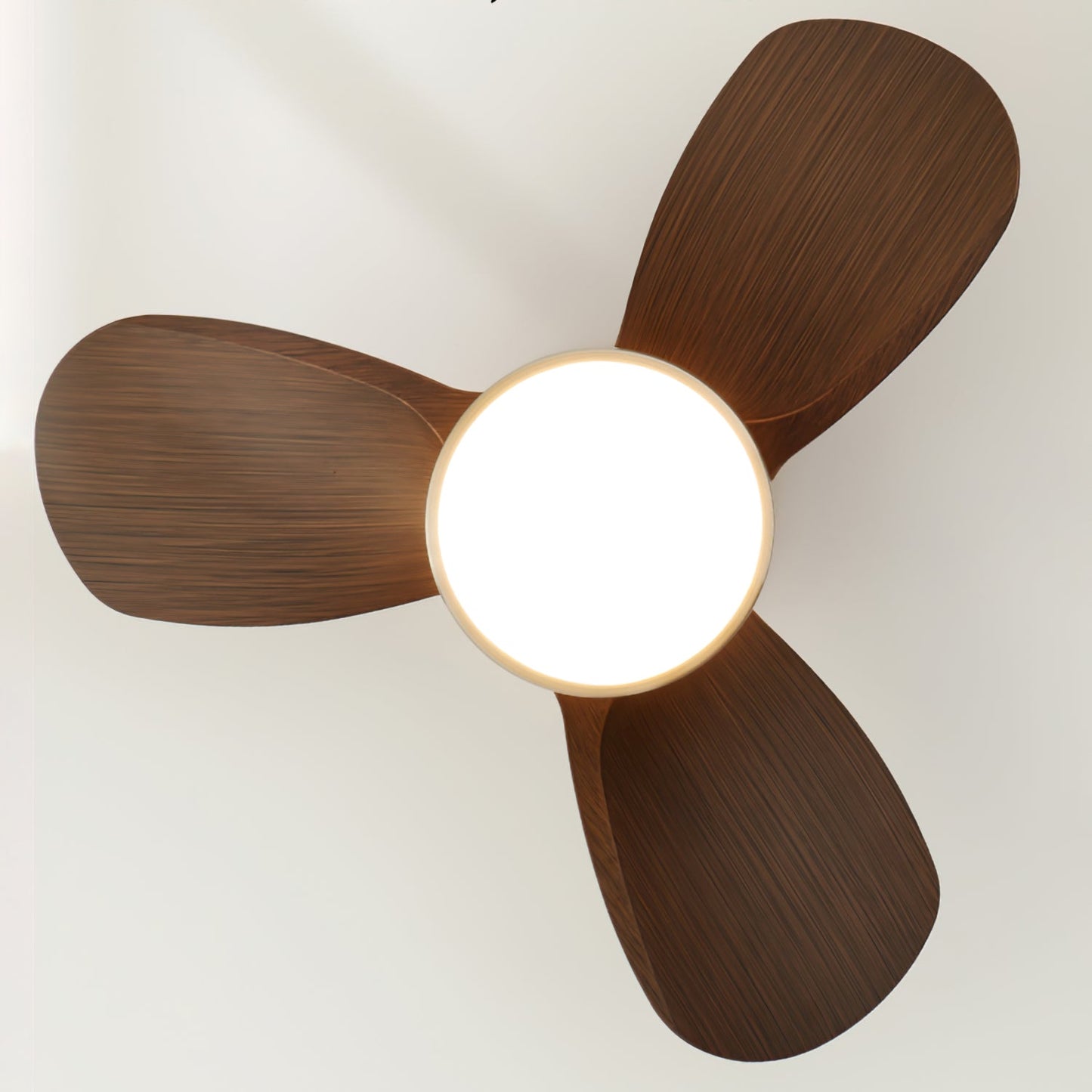 Talaya Ceiling Fan Light