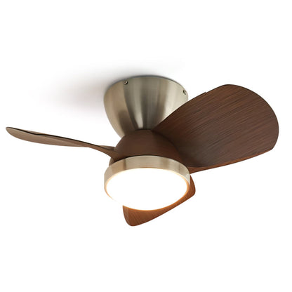 Talaya Ceiling Fan Light