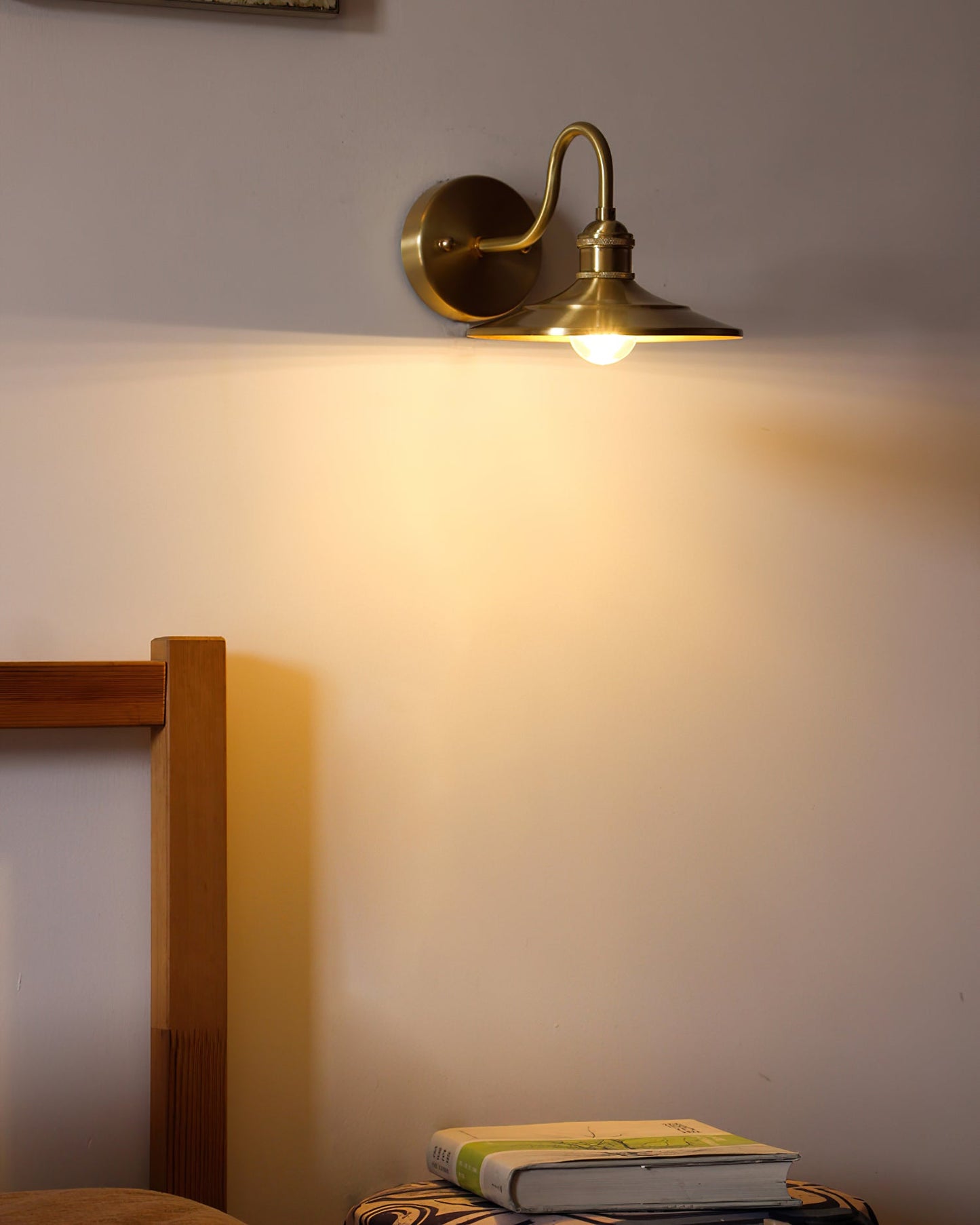 Whizzer Wall Light
