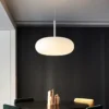 Simple and Modern Pendant Lamp, Never fade, the pendant light emits charming and bright light, adding an elegant atmosphere to your home. A simple and elegant design that adapts to any interior environment, from the office to the bedroom..