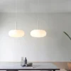 Simple and Modern Pendant Lamp, Never fade, the pendant light emits charming and bright light, adding an elegant atmosphere to your home. A simple and elegant design that adapts to any interior environment, from the office to the bedroom..