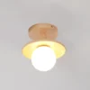 Cup Ceiling Lamp