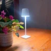 The fixture is made up of metal with LED light source, ensuring a clean display along with a tasteful layer of light. This piece lights the way wherever it is placed, providing a full and inviting glow. Its square base ensures a sturdy display. Purchase Notes: Only supports shipping to Japan, Australia, the EU, and the United States, other countries do not support shipping. If you have any questions about our products, please contact us and we will get back to you within 24 hours. Product Size Size: ∅ 4.3″ x H 15″ / Dia 11cm x H 38cm Details Material: Metal, Acrylic, Aluminum alloy Light source: Integrated LED Voltage: AC 110-240V Battery capacity (mAh): 2000 mAh Charging voltage: 5V---2A or 8V---2A Charging time: ~3 hours to fully charge Continuous discharge time: the maximum power can be used for about 3 hours, and the minimum power can be used continuously for about 10 hours. Color: White, Black, Gold, Pink, Silver Control method: Touch switch (Dimmable) We provide with USB charging cable. Approved: ETL, UL listed and CE, SAA certification.