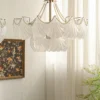 Creame Shell Chandelier | Lia Premium Lights