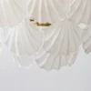 Creame Shell Chandelier | Lia Premium Lights