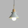 Denish Pendant Lamp