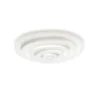 Dripple Ceiling Light