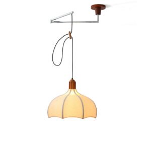 Aden Arm Pendant Light