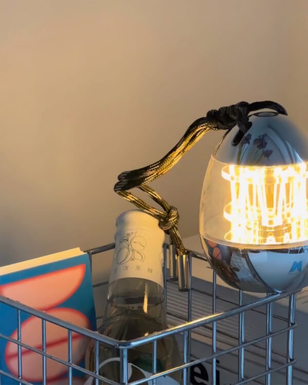 Mini Egg Portable Lamp 8