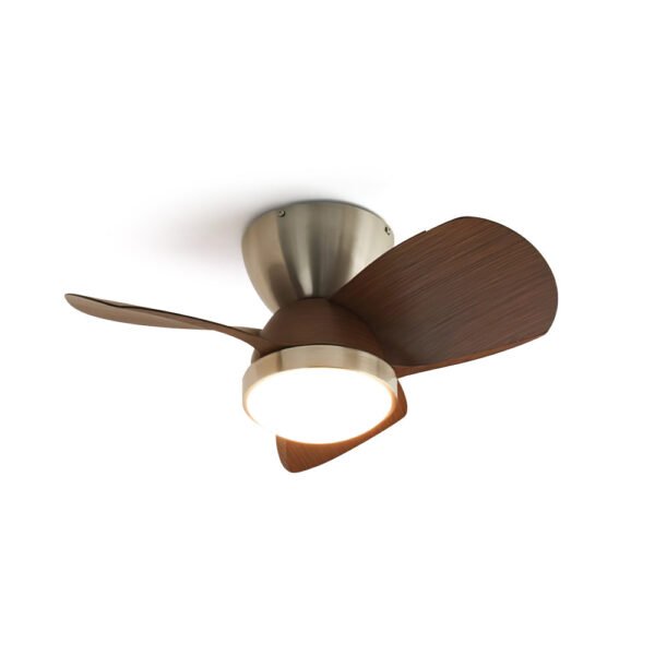 Talaya Ceiling Fan Light 1