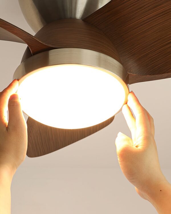 Talaya Ceiling Fan Light 10