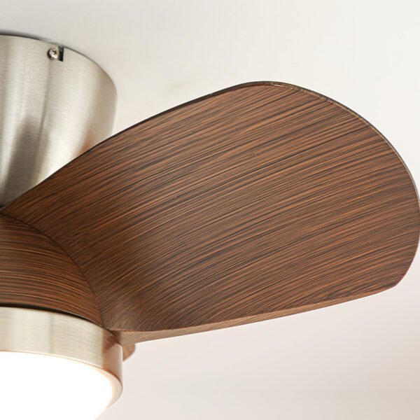 Talaya Ceiling Fan Light 11