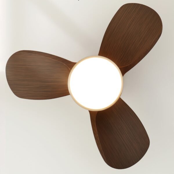 Talaya Ceiling Fan Light 2