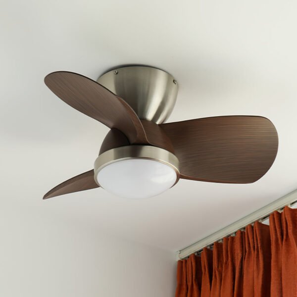 Talaya Ceiling Fan Light 4