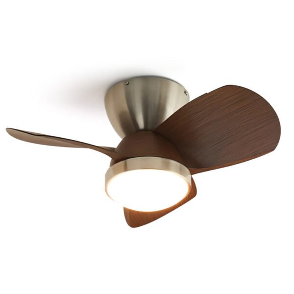 Talaya Ceiling Fan Light 5