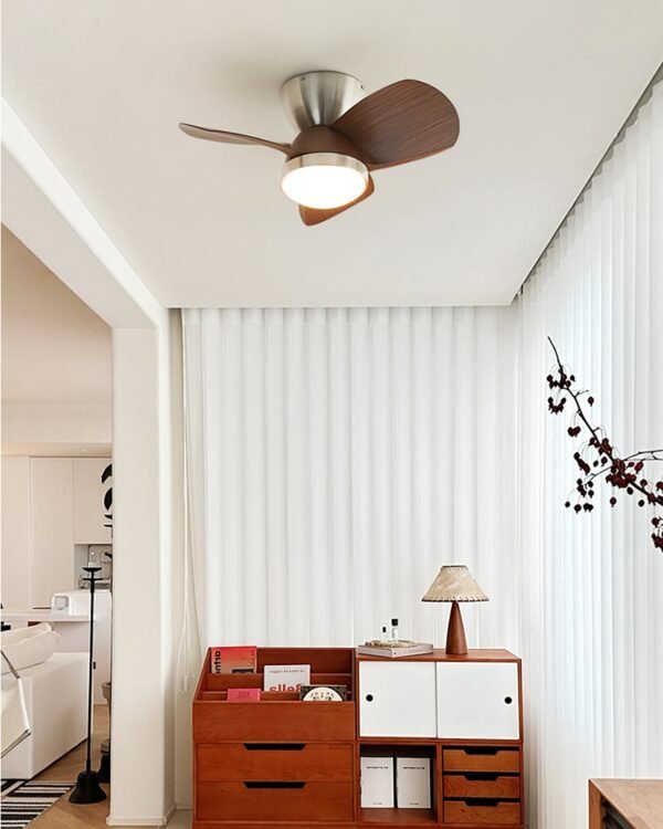 Talaya Ceiling Fan Light 8